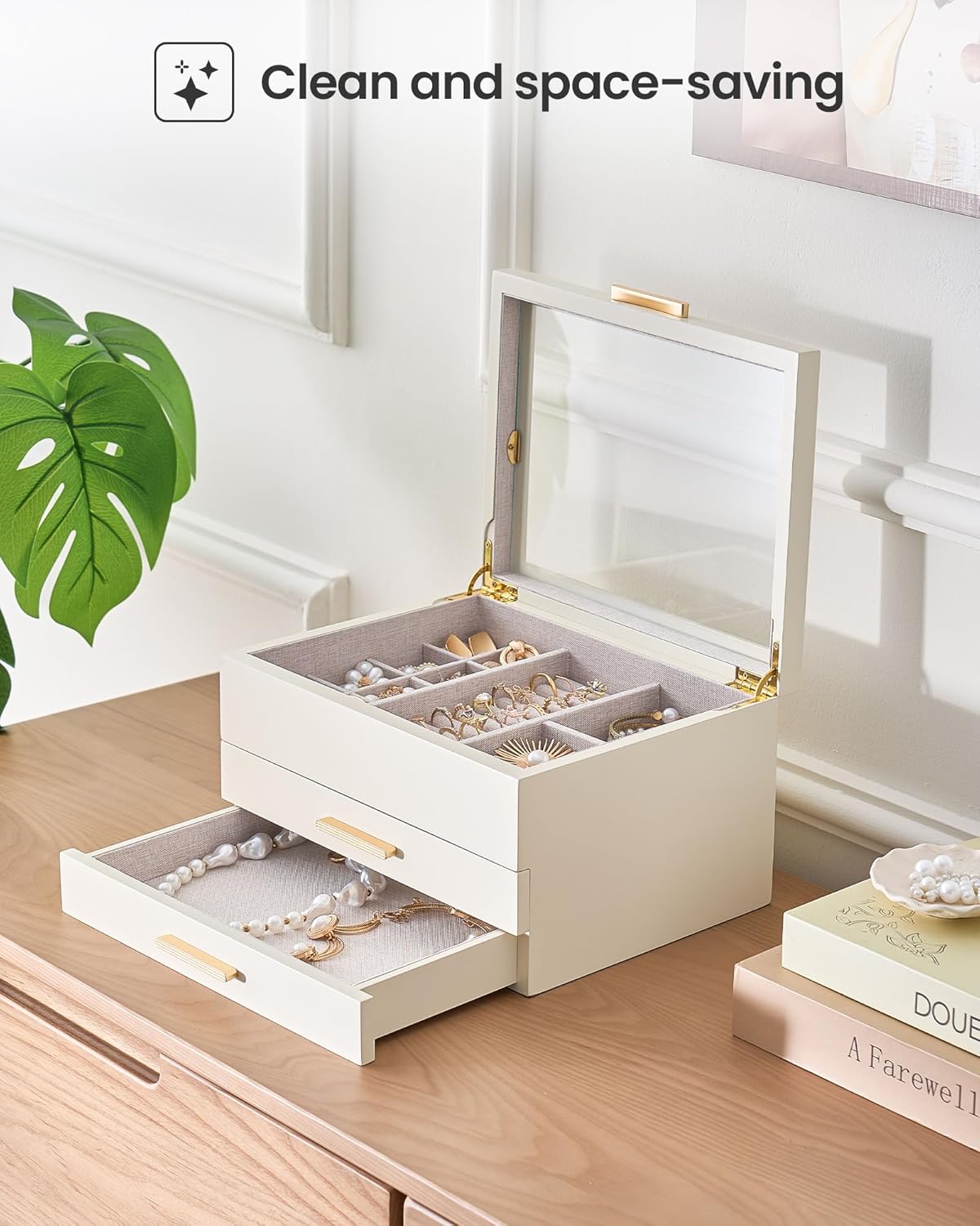 Multi-Layer Jewelry Organizer Box with Clear Lid