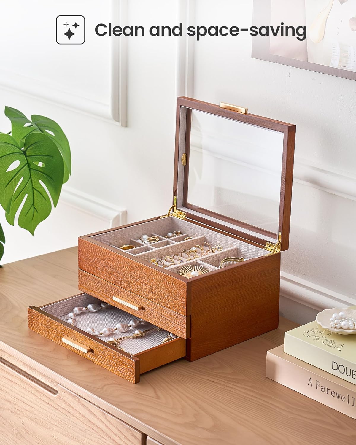 Multi-Layer Jewelry Organizer Box with Clear Lid