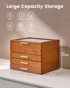 Multi-Layer Jewelry Organizer Box with Clear Lid